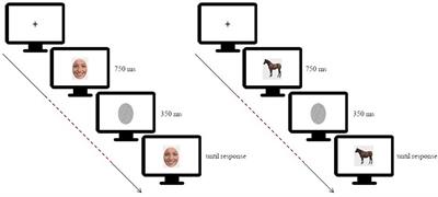 Testing EEG functional connectivity between sensorimotor and face processing visual regions in individuals with congenital facial palsy